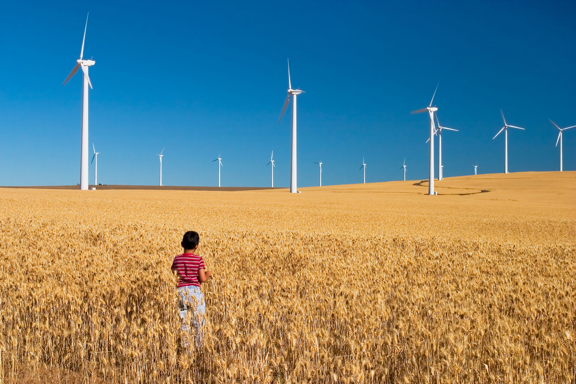 The time is now: Asset Managers should embrace the opportunities that ESG brings