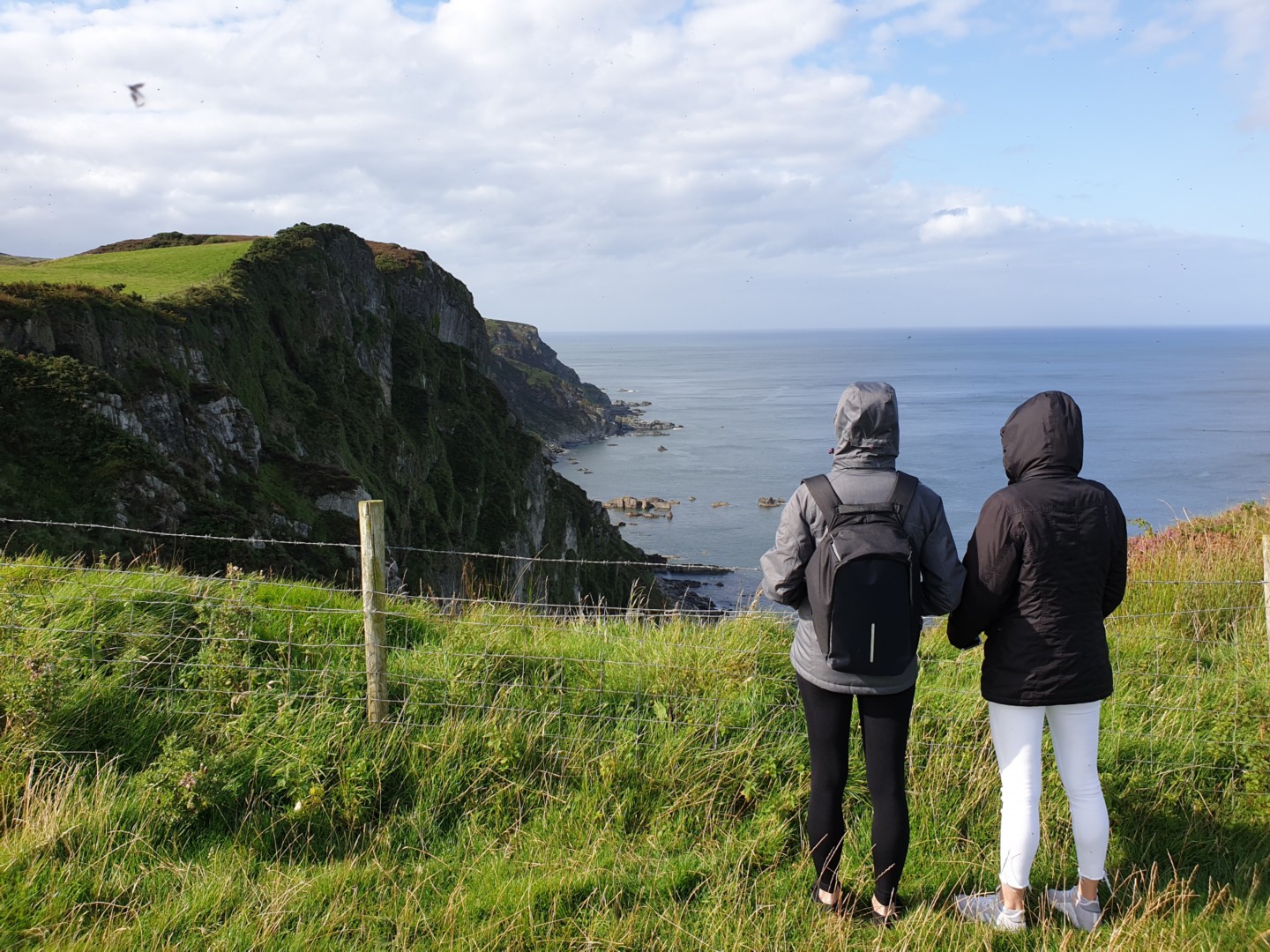 Financial Accounting Advisory