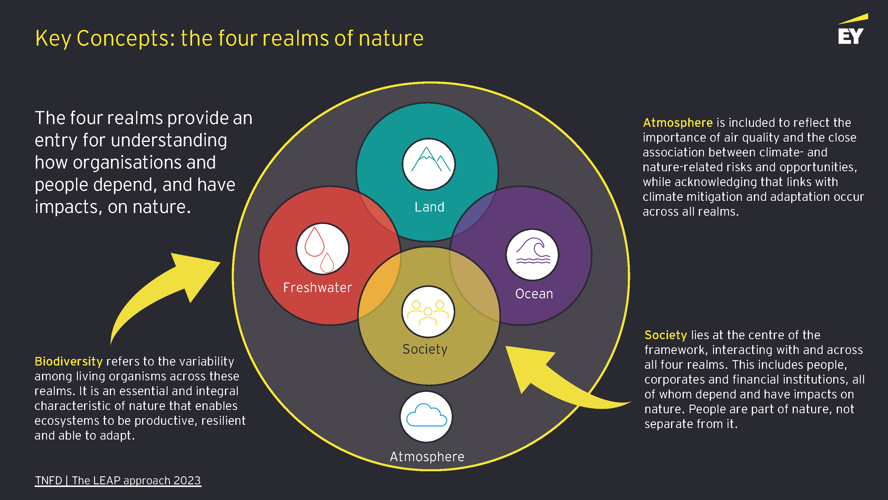 Nature Related Code The impact of nature related reporting requirements on SMEs - eyfs.ie ...